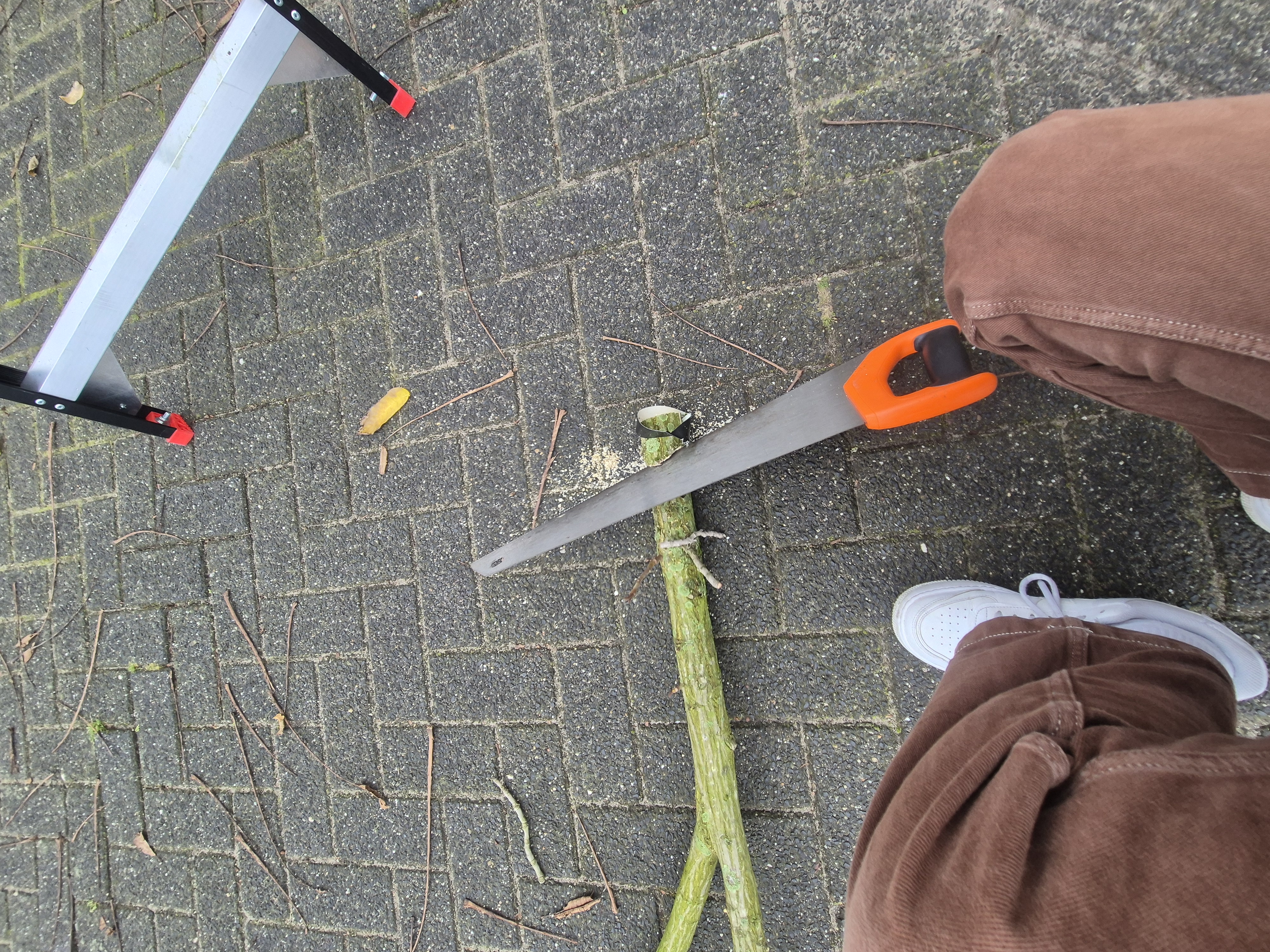 Verkadefabriek foto 6